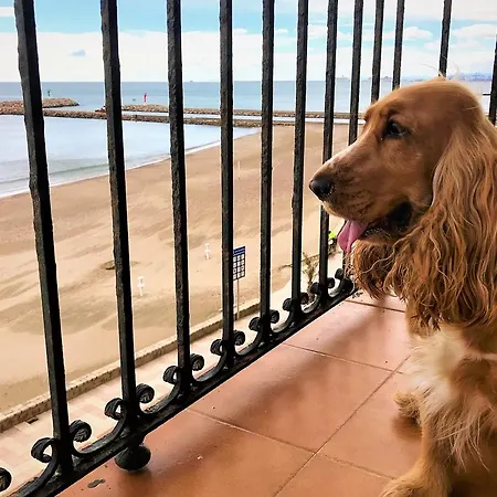 Sea Valencia Apartment